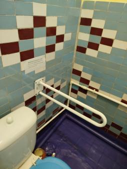 Поручень в санузле